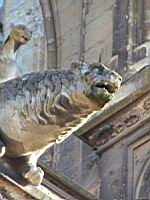 Reims - Cathedrale - Chevet, Gargouille, Ours (3)